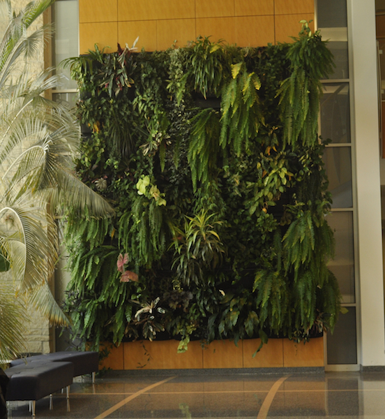 The 20-foot tall plant wall outside of Monsanto Auditorium in the Bond Life Sciences Center is a nod to coexistence and diversity. | Paige Blankenbuehler