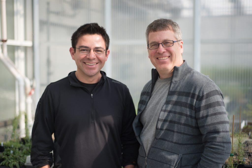 Bond LSC researchers David Mendoza (left) and Scott Peck (right) are collaborating to develop a new method for studying plant signaling pathways as they happen inside the cell. | photo by Jennifer Lu, Bond LSC