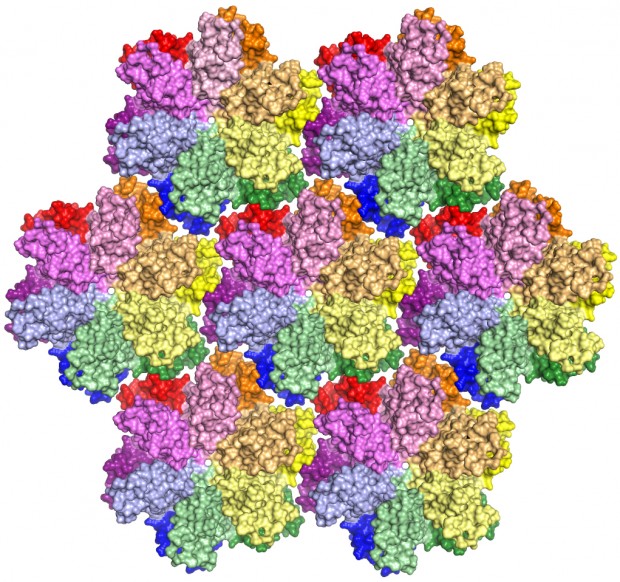 The HIV capsid protein (shown above in an array of hexagons) plays a critical role in the virus life cycle. Bond LSC researchers recently developed the most complete model yet of this vital protein, a building block that forms the protective shell surrounding the virus’ genes. The journal Science published their findings online June 4. | Image by Karen Kirby