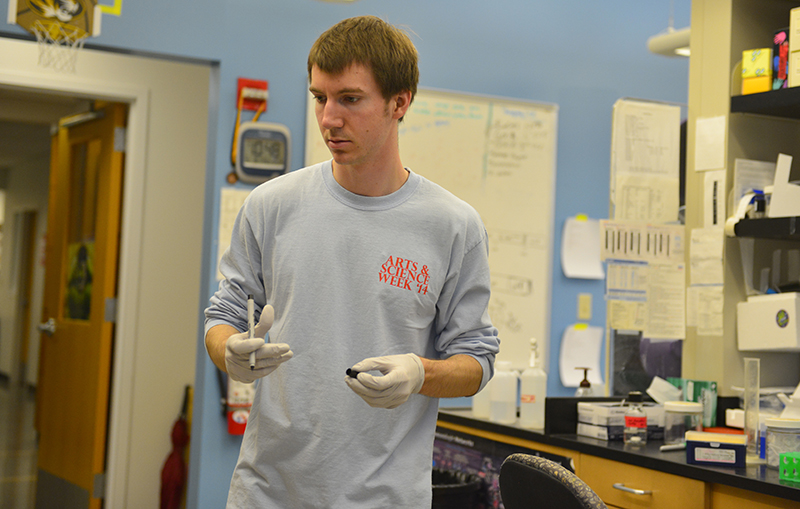Hannah Baldwin/Bond LSC MU junior Nathan Coffey works in Dr. Dawn Cornelison's lab on an experiment involving muscle tissue on Thursday, April 9, 2015. Coffey, a winner of an arts and sciences scholarship, said his research focuses on how different types of muscle work within the body. He said that he hopes to complete an MDPhD one day so he can be a researcher and physician. This summer, he will intern at the National Institute on Alcohol Abuse and Alcoholism (NIAAA), which is part of the National Institutes of Health (NIH), in Bethesda, Md.