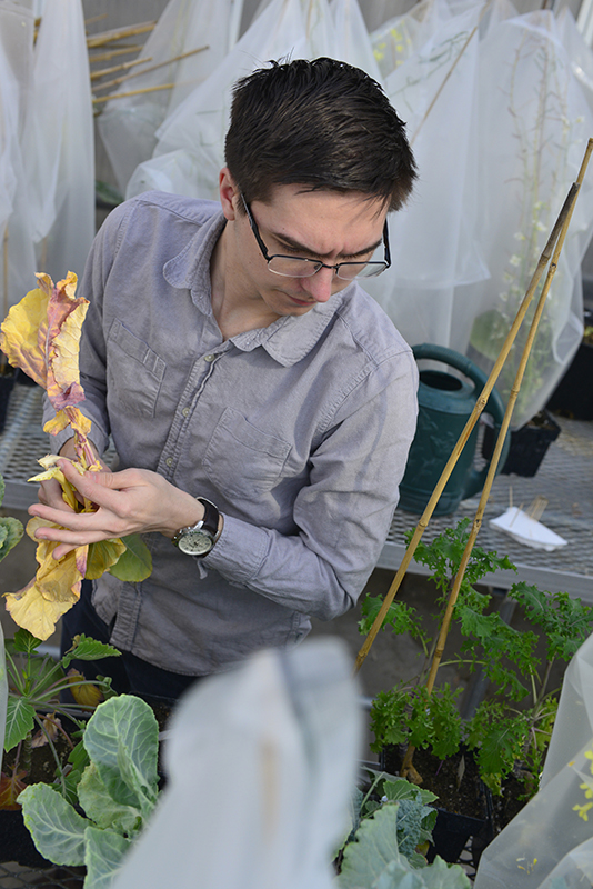 Hannah Baldwin/Bond LSC MU junior Kevin Bird inspects plants in a greenhouse on Monday, Feb. 23, 2015. Bird, who won an arts and science scholarship, is a student in Dr. Chris Pires' lab studying how plants express genes. 