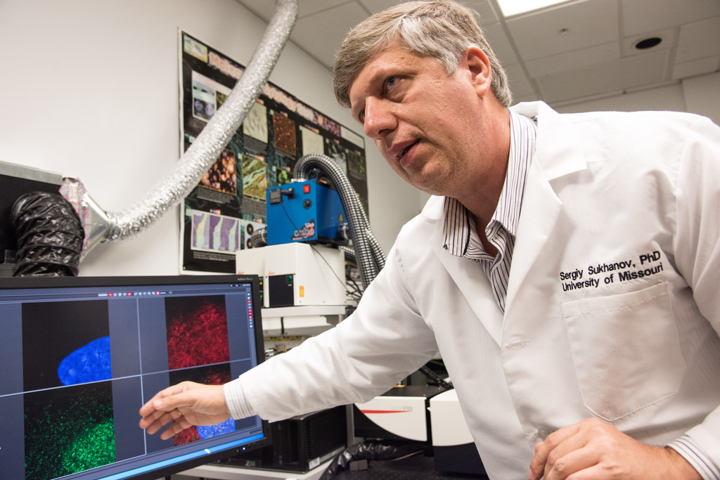 Sergiy Sukhanov explains how he uses a confocal microscope in MU's Molecular Cytology Core to study atherosclerosis and heart disease. | photo by Roger Meissen, Bond LSC