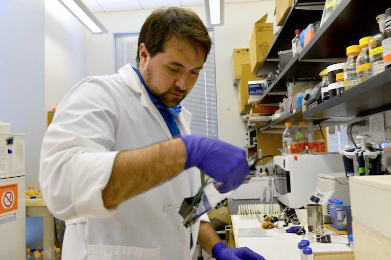 Eric Villalon, a graduate student in Michael Garcia's lab at the Bond Life Sciences Center, examines results. The Garcia Lab is answering news questions in cell mechanics. | PAIGE BLANKENBUEHLER