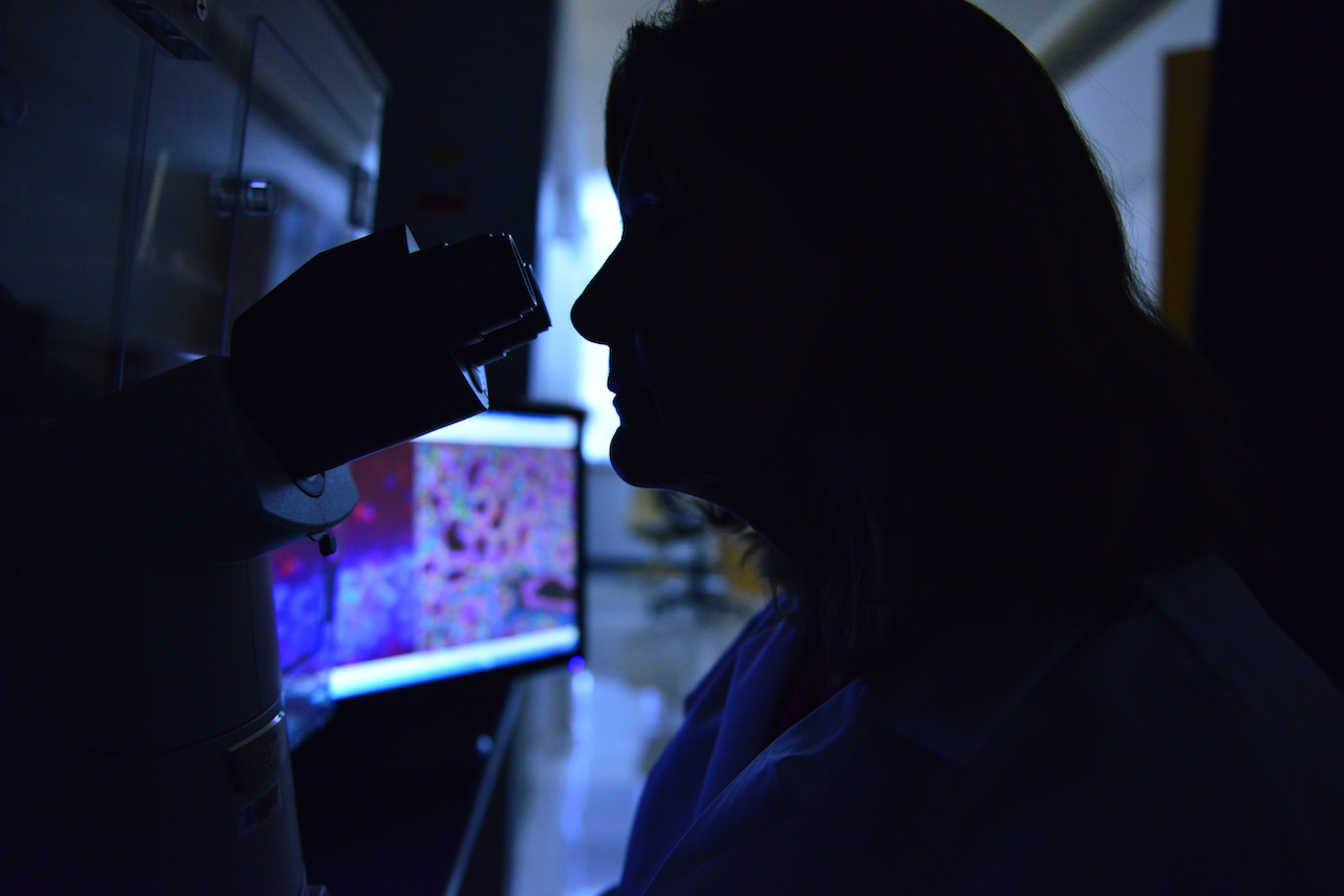White coat, dark room. Jean Camden, a senior technician in the Weisman lab, reviews salivary gland and brain tissue samples for research on inflammation. | Photo by Paige Blankenbuehler, Bond LSC