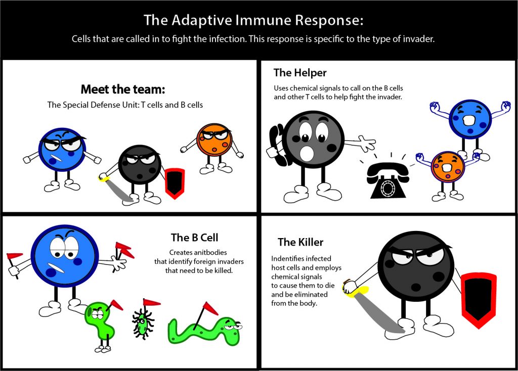 immune_system2