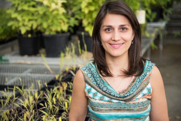 Fernanda Amaral, coauthor and MU postdoctoral fellow at Bond Life Sciences Center. | Photo by Roger Meissen, Bond LSC