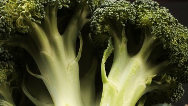 Broccoli small