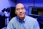 Holding on: Bond LSC scientist discovers protein prevents release of HIV and other viruses from infected cells