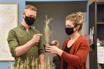 BIPS: Bringing Plant Science and Engineering Together