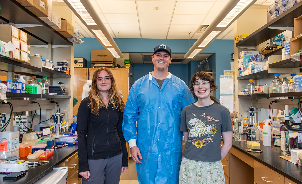 Michaela Beedy, Brian Thomas, and Margaret Beecher work on aptamers in the lab of Donald Burke. | Photo by Beni Adelstein, Bond LSC