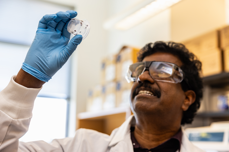 Roman Ganta looking at ticks in a clear plastic cup.