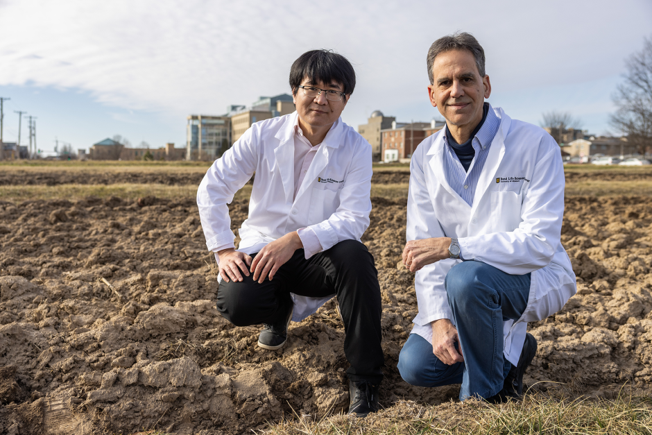 Researchers at Sanborn Field.